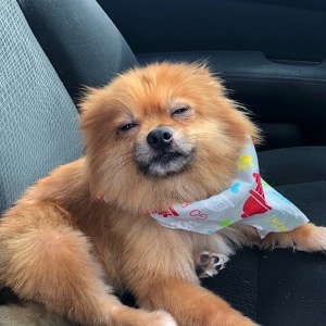 Team Page: Team Oliver